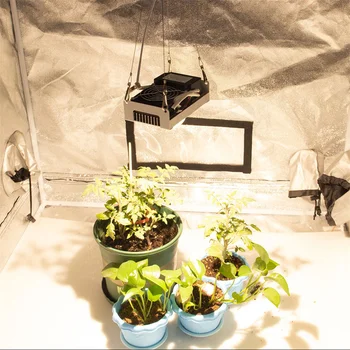COB Светодиодный светильник для выращивания Полного спектра 100 Вт 3000 К 3500 К 5000 К 85-265 В, Лампа для Выращивания растений в Гидропонной теплице, Освещение для Выращивания растений в помещении